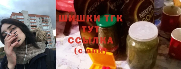 мдпв Каменка