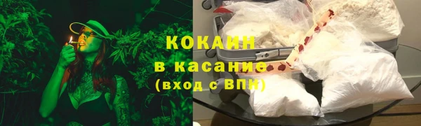 мдпв Каменка