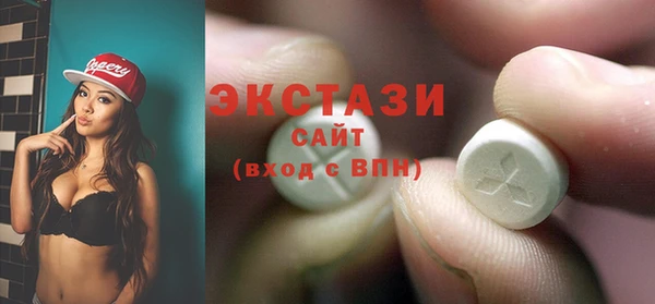 мдпв Каменка