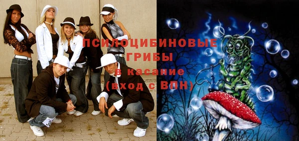 мескалин Каменногорск