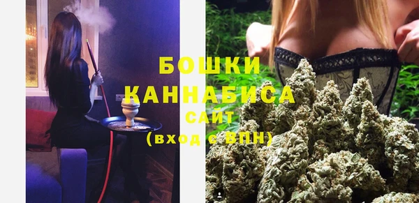 мдпв Каменка