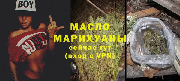 мдпв Каменка