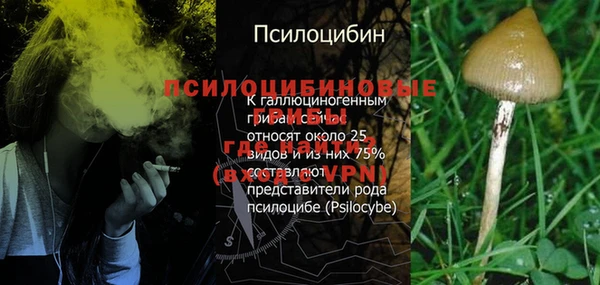 мдпв Каменка
