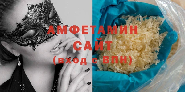 мдпв Каменка