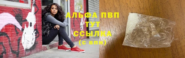 стафф Каменск-Шахтинский