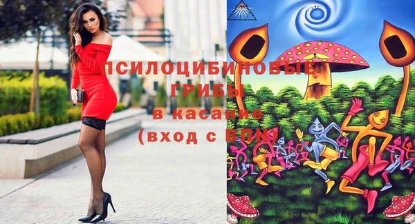 мдпв Каменка