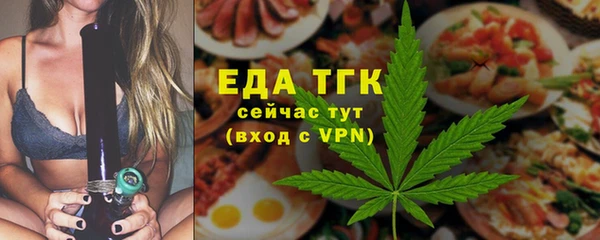 мдпв Каменка