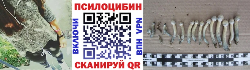 Псилоцибиновые грибы Cubensis  Купить закладки  Лебедянь 
